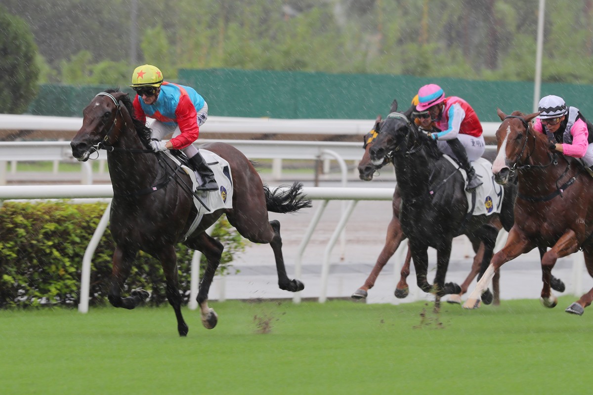 Ka Ying Rising (left) brushes aside his rivals in Sunday’s Chief Executive’s Cup at Sha Tin. Photo: Kenneth Chan