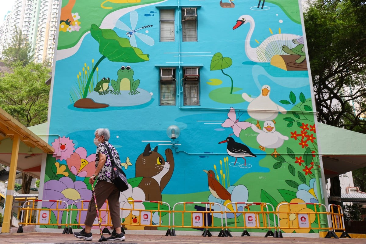 Hong Kong authorities plan to “enhance the well-being” of some public housing estates. Photo: Jelly Tse