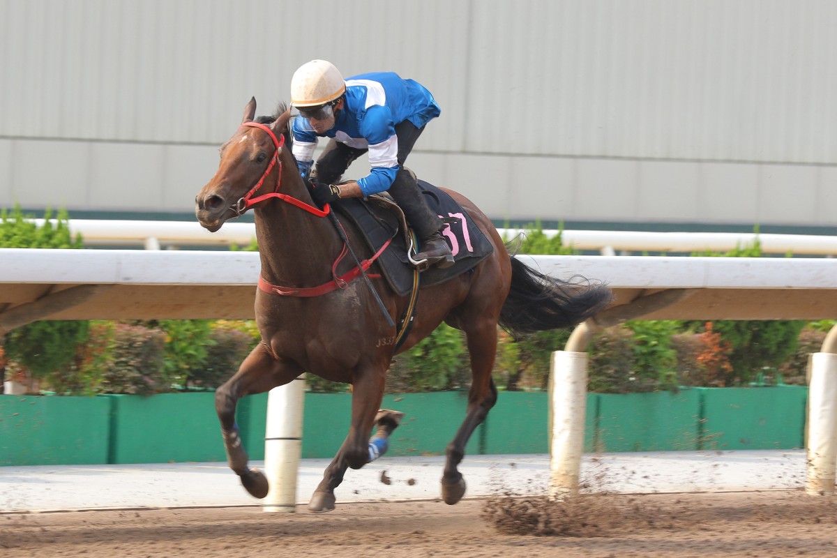 Karis Teetan on Lucky Impact in a Sha Tin dirt trial on September 3. Photos: Kenneth Chan