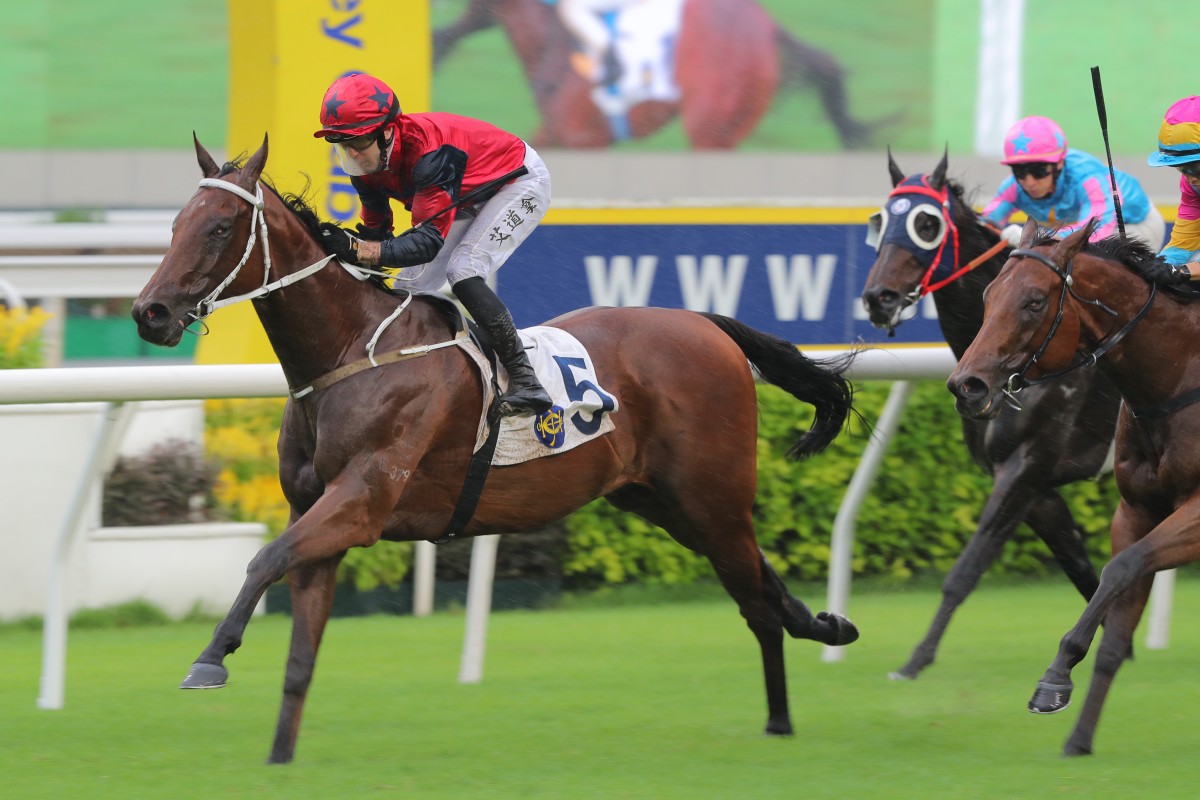 The Golden Scenery snares Sunday’s Group Three Celebration Cup (1,400m) at Sha Tin. Photos: Kenneth Chan