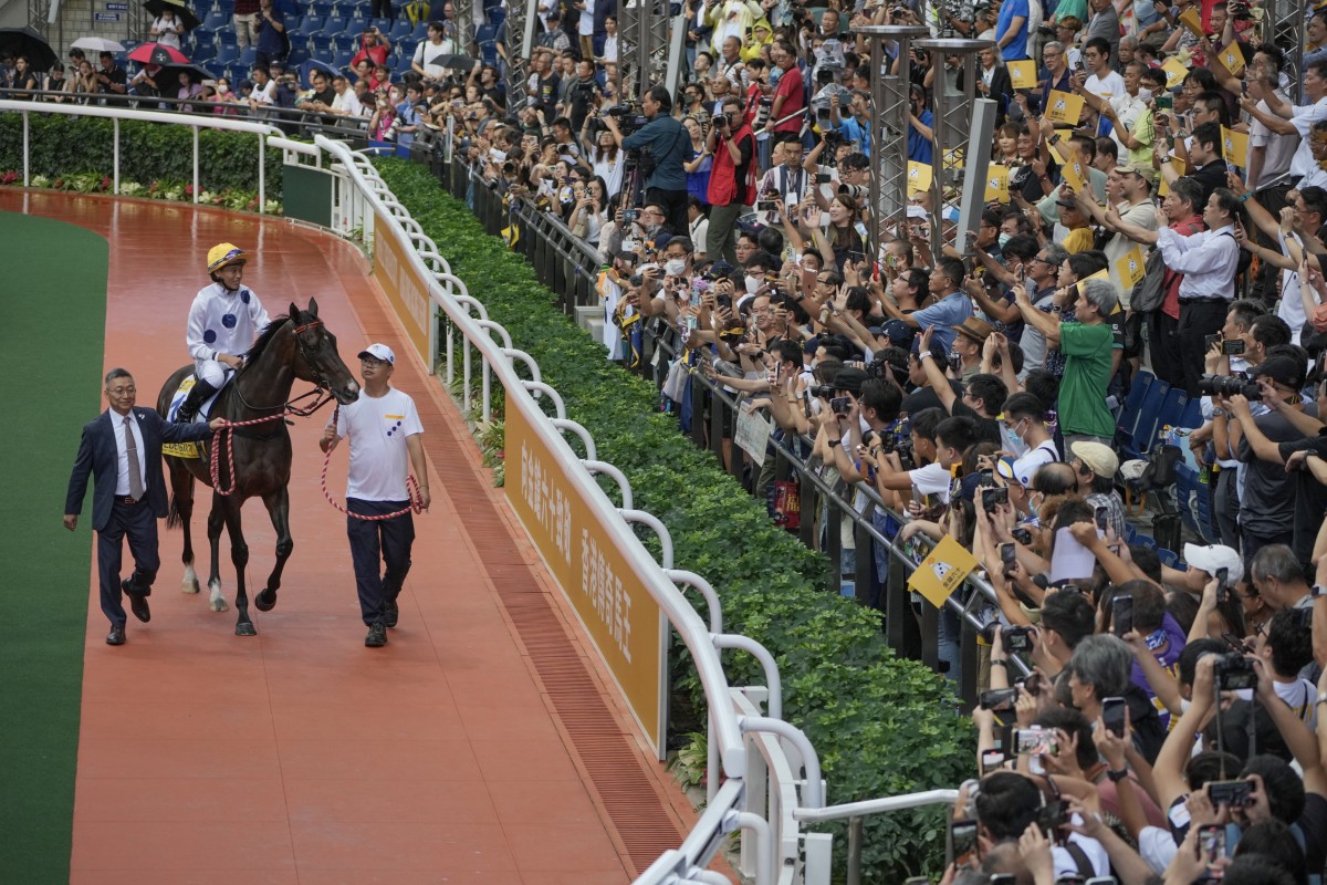 Golden Sixty bids farewell at Sha Tin on Sunday. Photos: May Tse and Kenneth Chan
