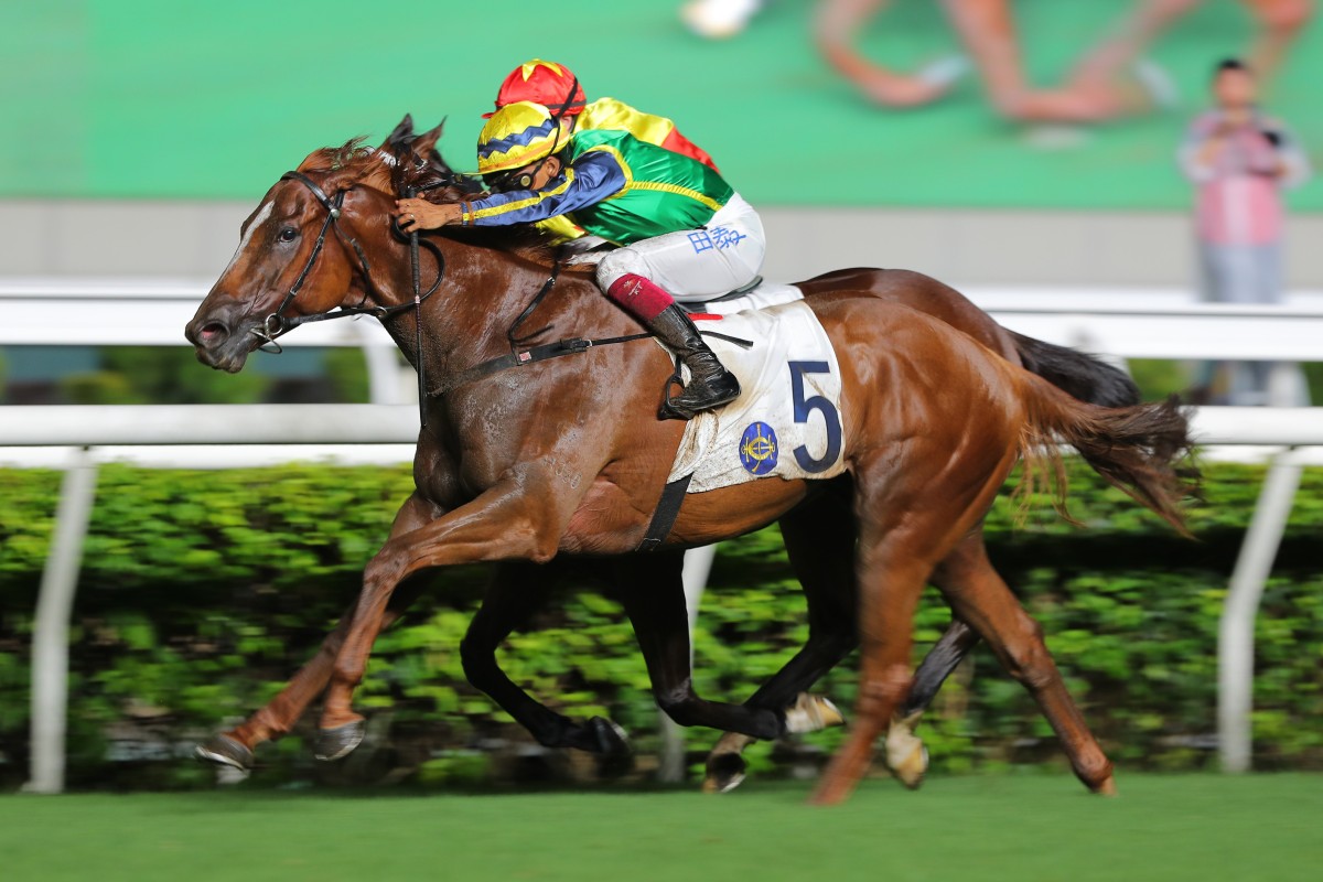 Premier Cup winner Mugen is in top order in Japan. Photos: Kenneth Chan