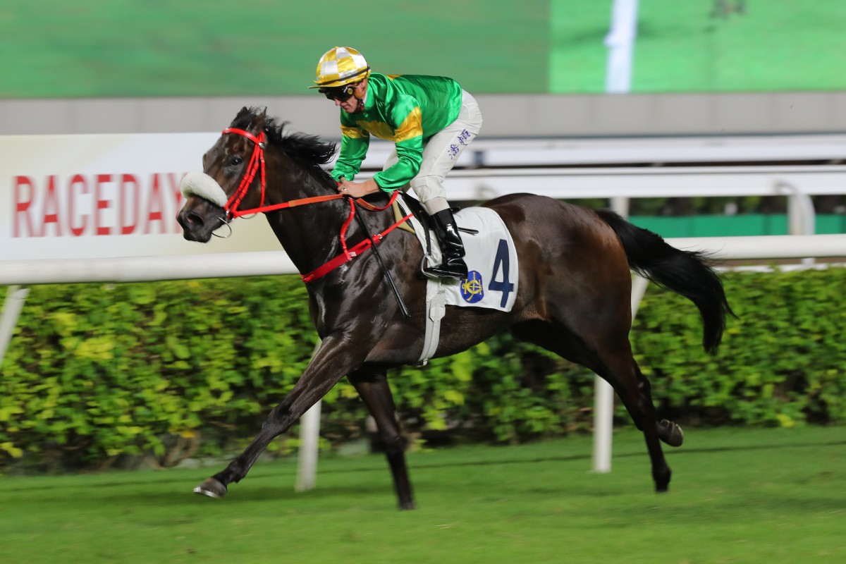 Bottomuptogether bids for a fourth straight win at Sha Tin on Saturday. Photos: Kenneth Chan
