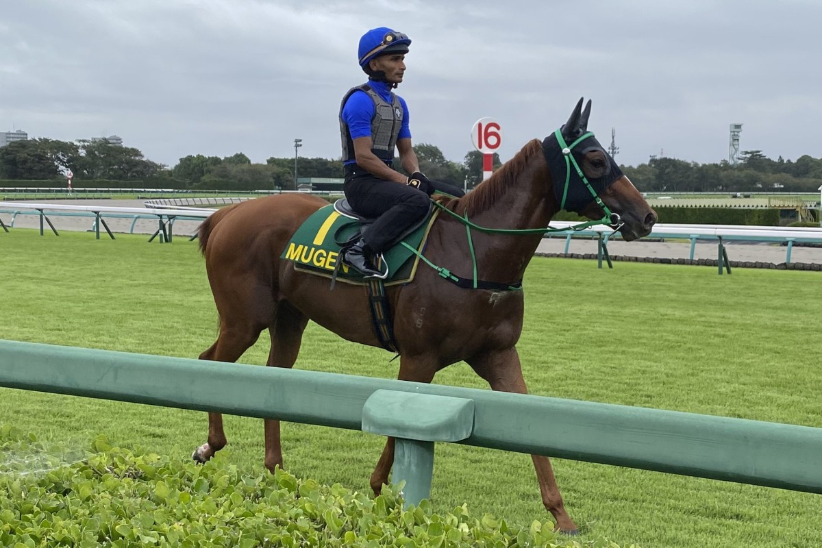 Karis Teetan on Mugen at Nakayama racecourse. Photo: SCMP