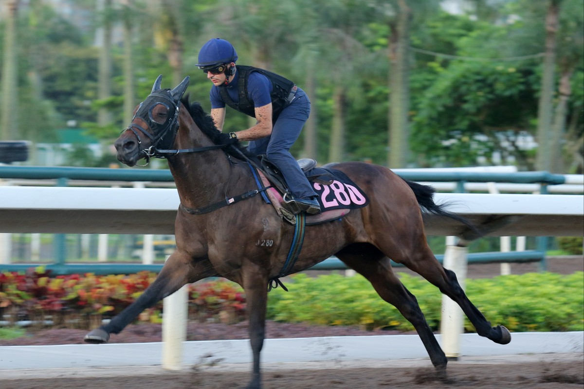Harold Win gallops on the Sha Tin dirt under Andrea Atzeni. Photos: Kenneth Chan