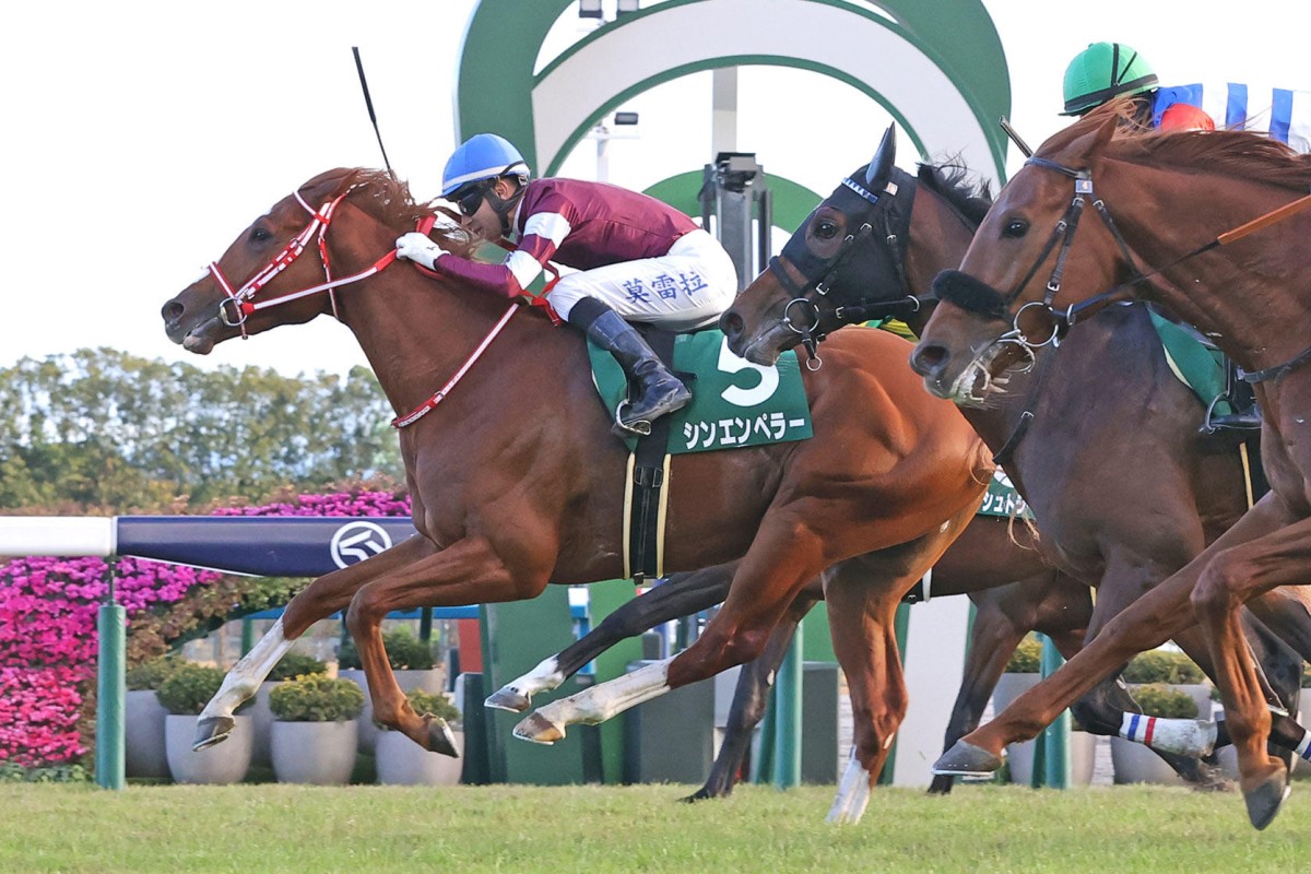 Shin Emperor wins on home soil last year. Photo: JRA