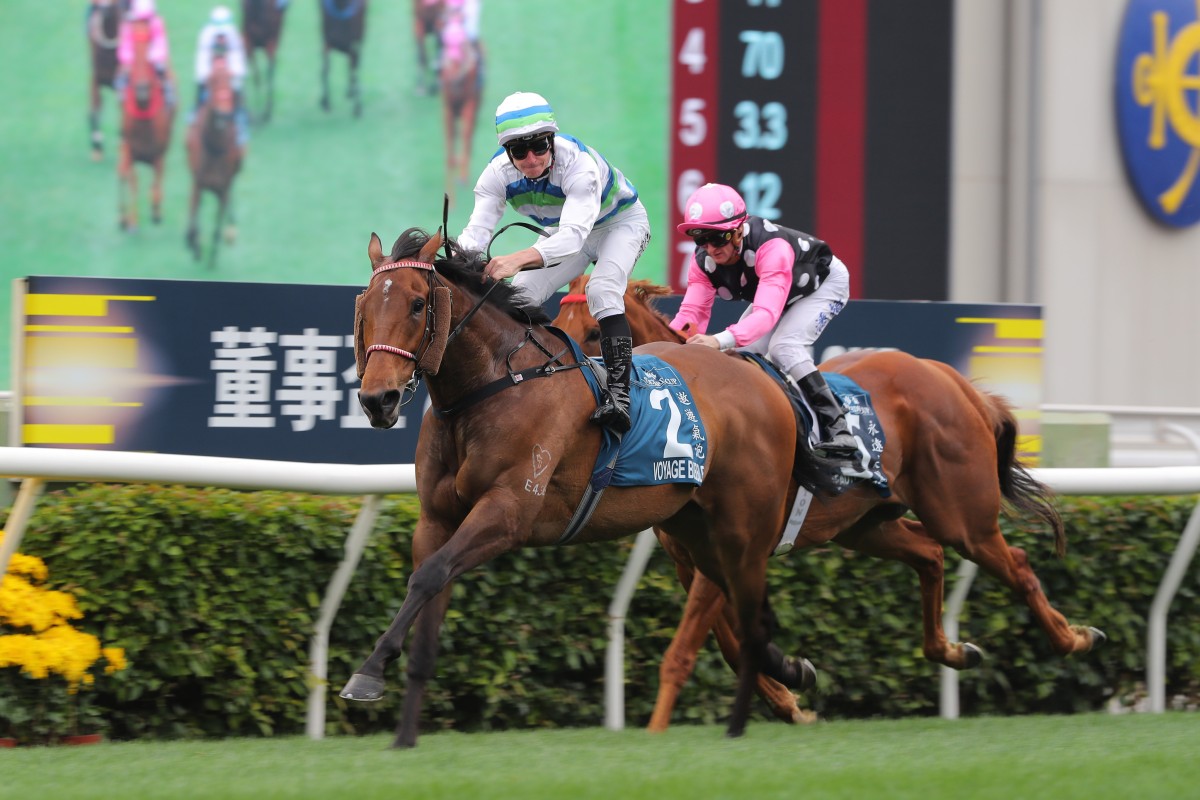 Voyage Bubble returns in Sunday’s Sha Tin Trophy. Photos: Kenneth Chan