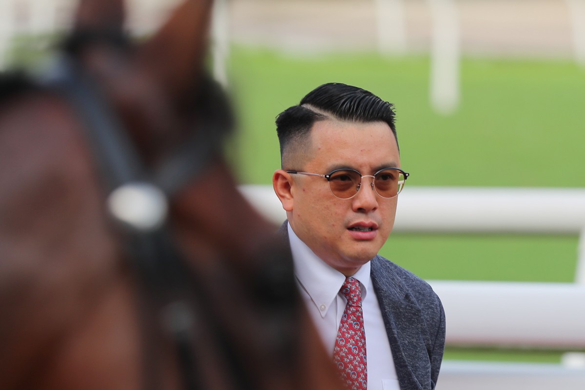 Trainer Pierre Ng has high hopes for Galaxy Patch. Photos: Kenneth Chan