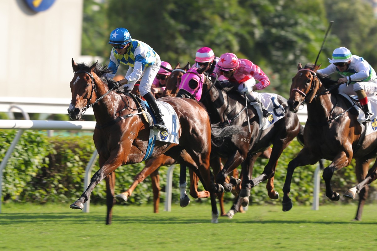 Vincent Ho steers Galaxy Patch to victory in the Sha Tin Trophy. Photos: Kenneth Chan