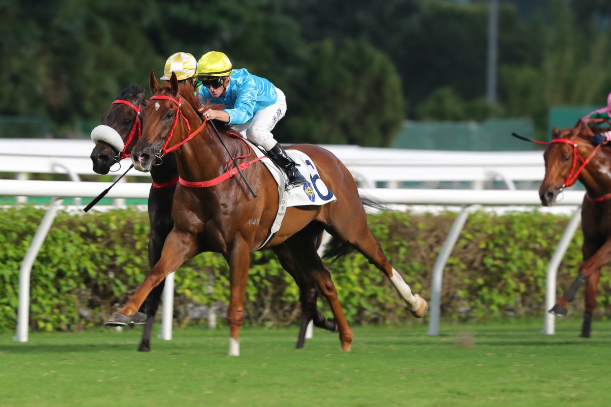 Wunderbar edges clear of Bottomuptogether to score for Zac Purton. Photos: Kenneth Chan
