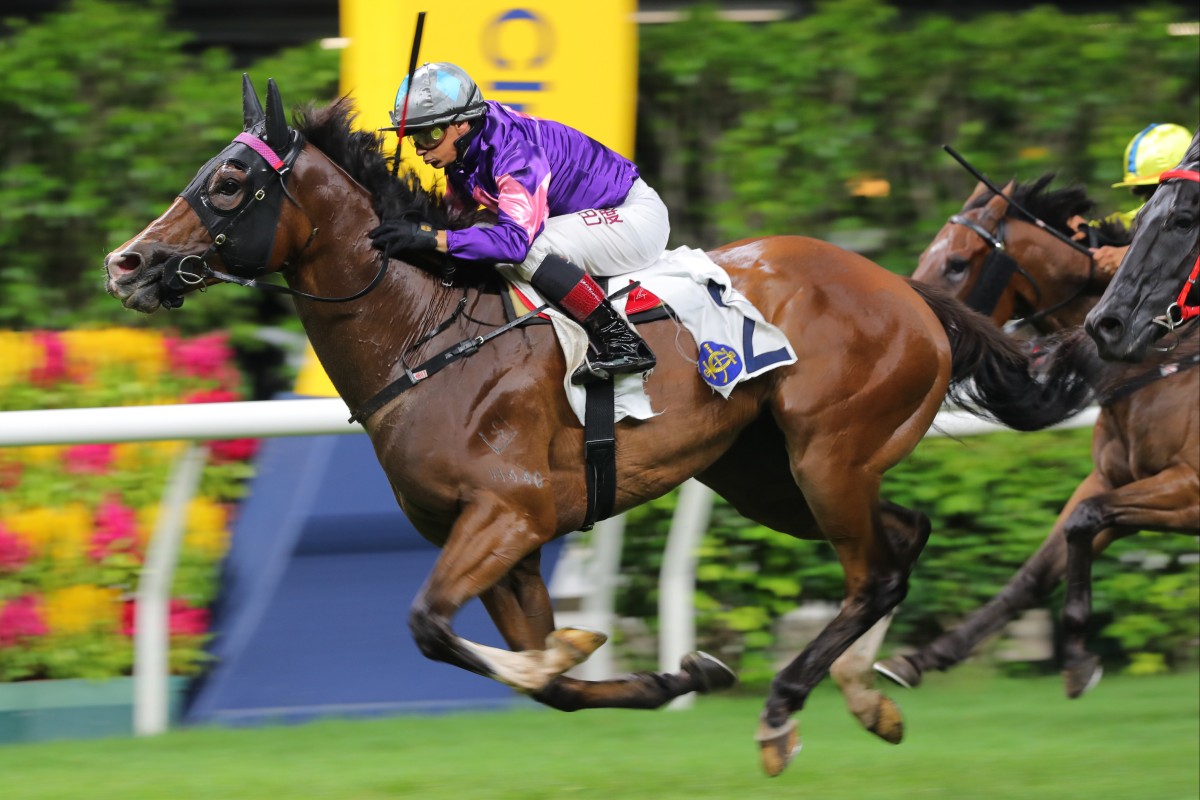 Spicy Gold gets off the mark at Happy Valley in July. Photos: Kenneth Chan