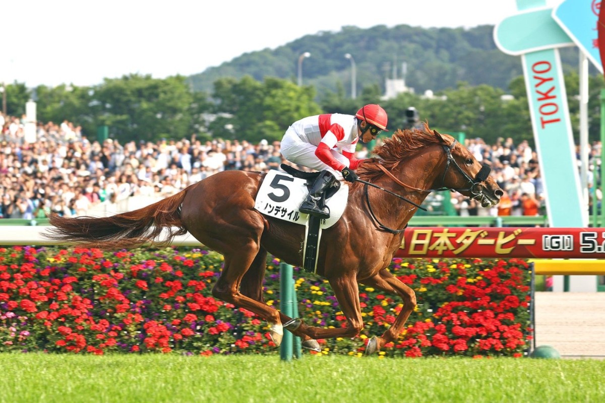 Danon Decile wins the Japanese Derby (2,400m) in May. Photo: JRA