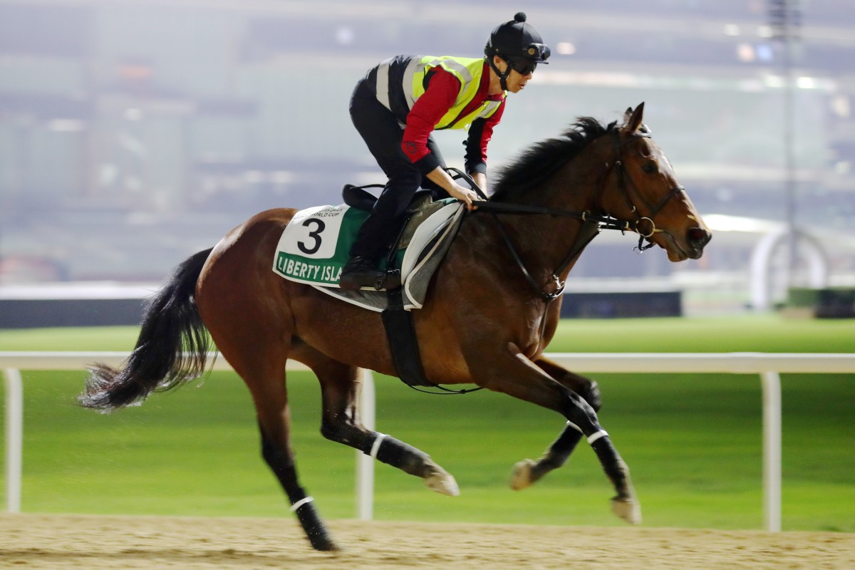 Liberty Island gallops at Meydan ahead of her third in March’s Dubai Sheema Classic. Photo: Kenneth Chan