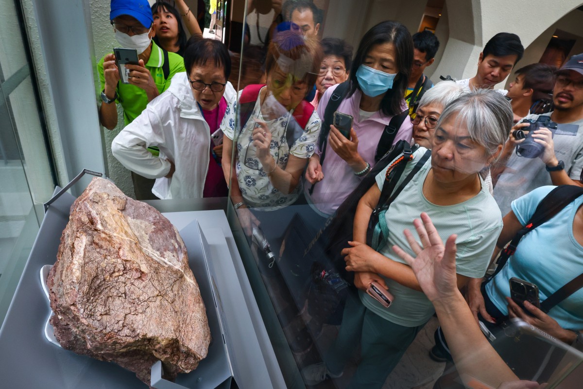 The dinosaur fossils are on public display at the Hong Kong Heritage Discovery Centre. Photo: Dickson Lee