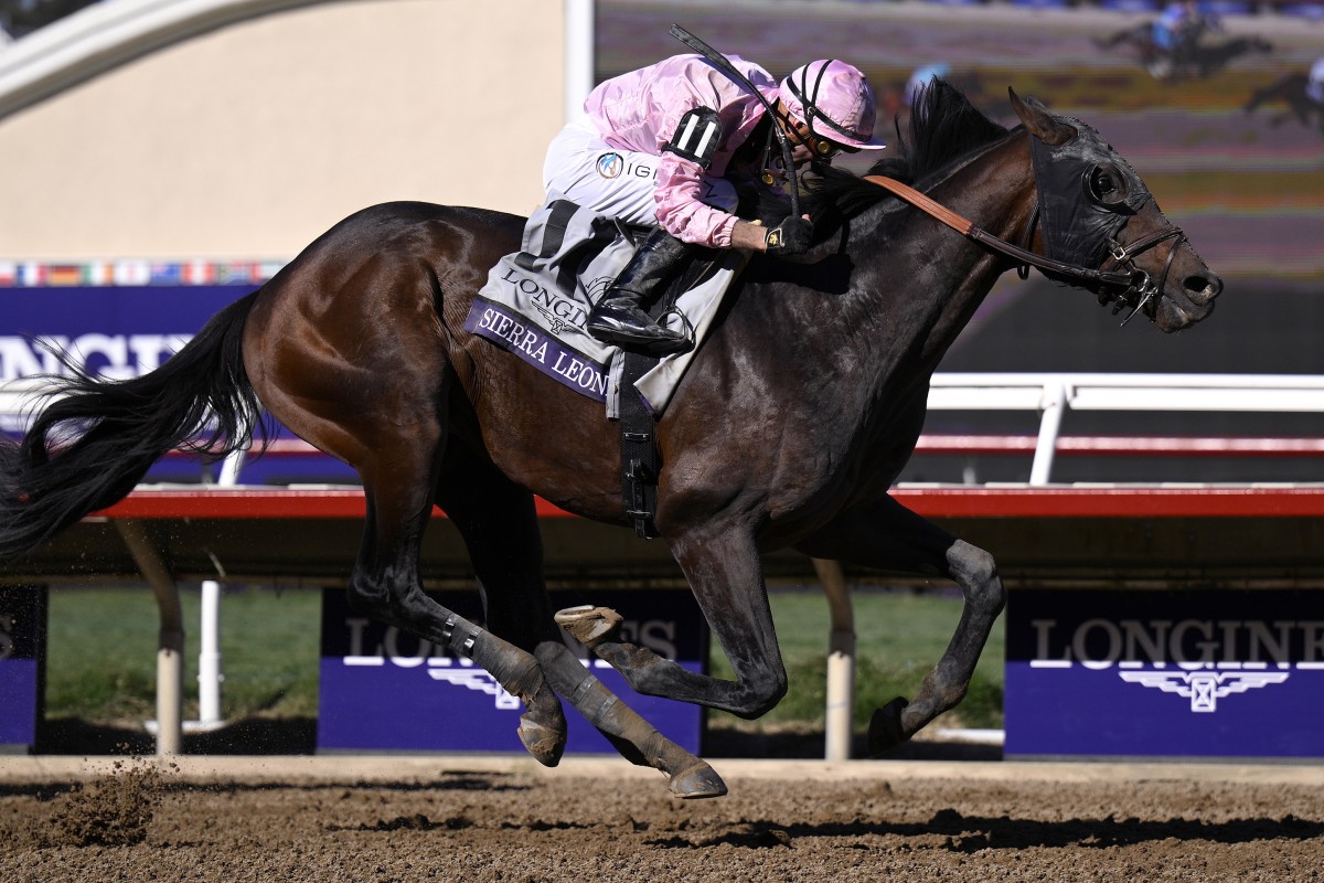 Sierra Leone, with jockey Flavien Prat, wins the Breeders Cup Classic at Del Mar Race Track on Saturday. Photo: TNS