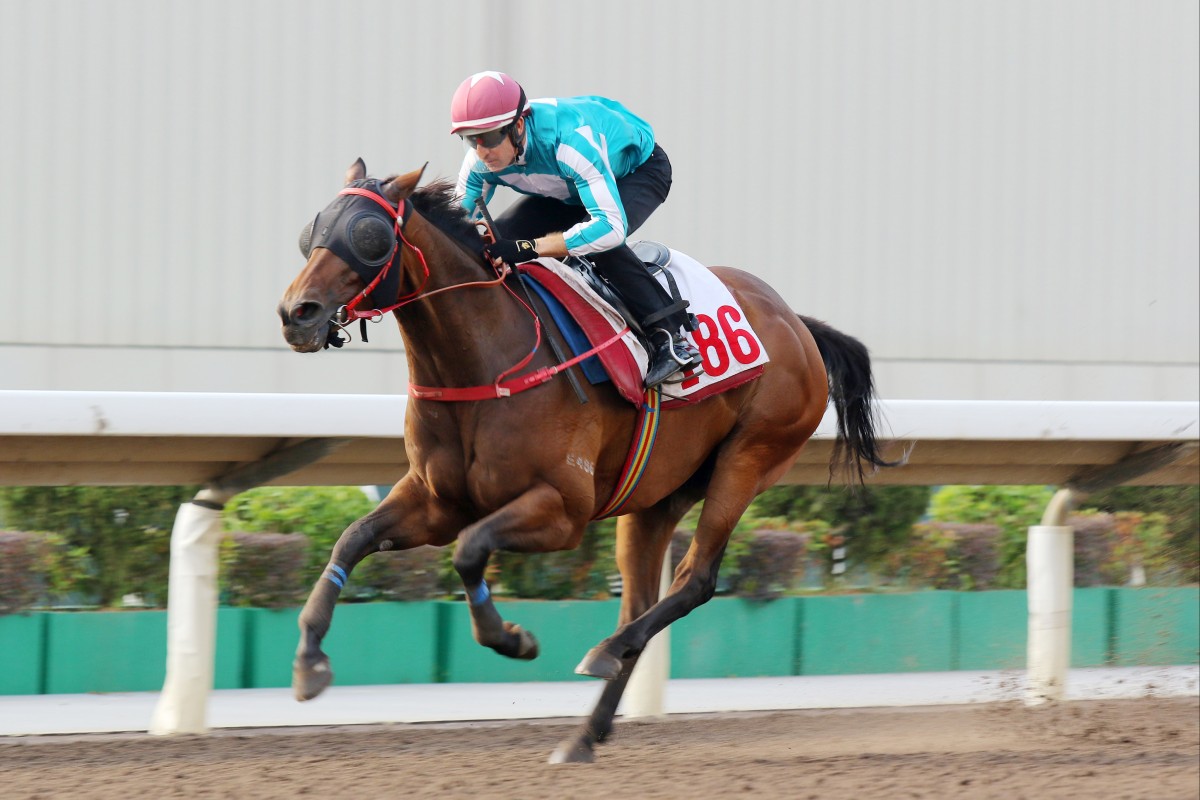 Romantic Warrior limbers up for his return with an impressive trial win on Monday. Photos: Kenneth Chan