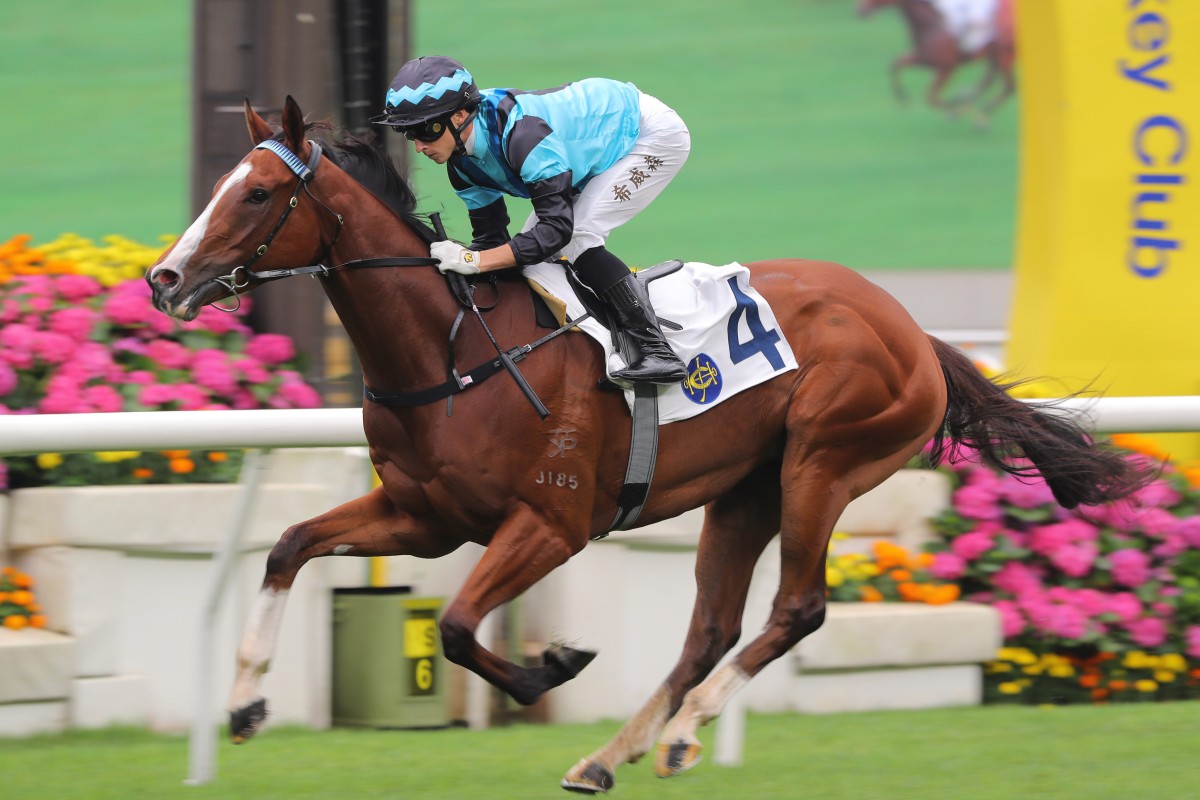 Full Credit heads to Happy Valley for the first time on Wednesday night. Photos: Kenneth Chan