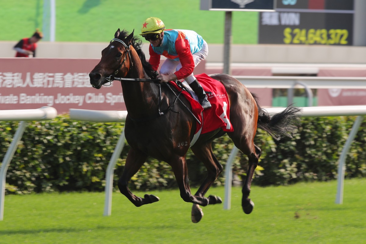 Ka Ying Rising coasts to victory under Zac Purton at Sha Tin on Sunday. Photos: Kenneth Chan