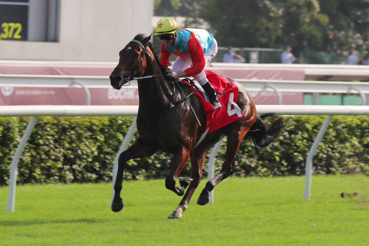 Ka Ying Rising will face six international opponents in the Group One Longines Hong Kong Sprint. Photos: Kenneth Chan