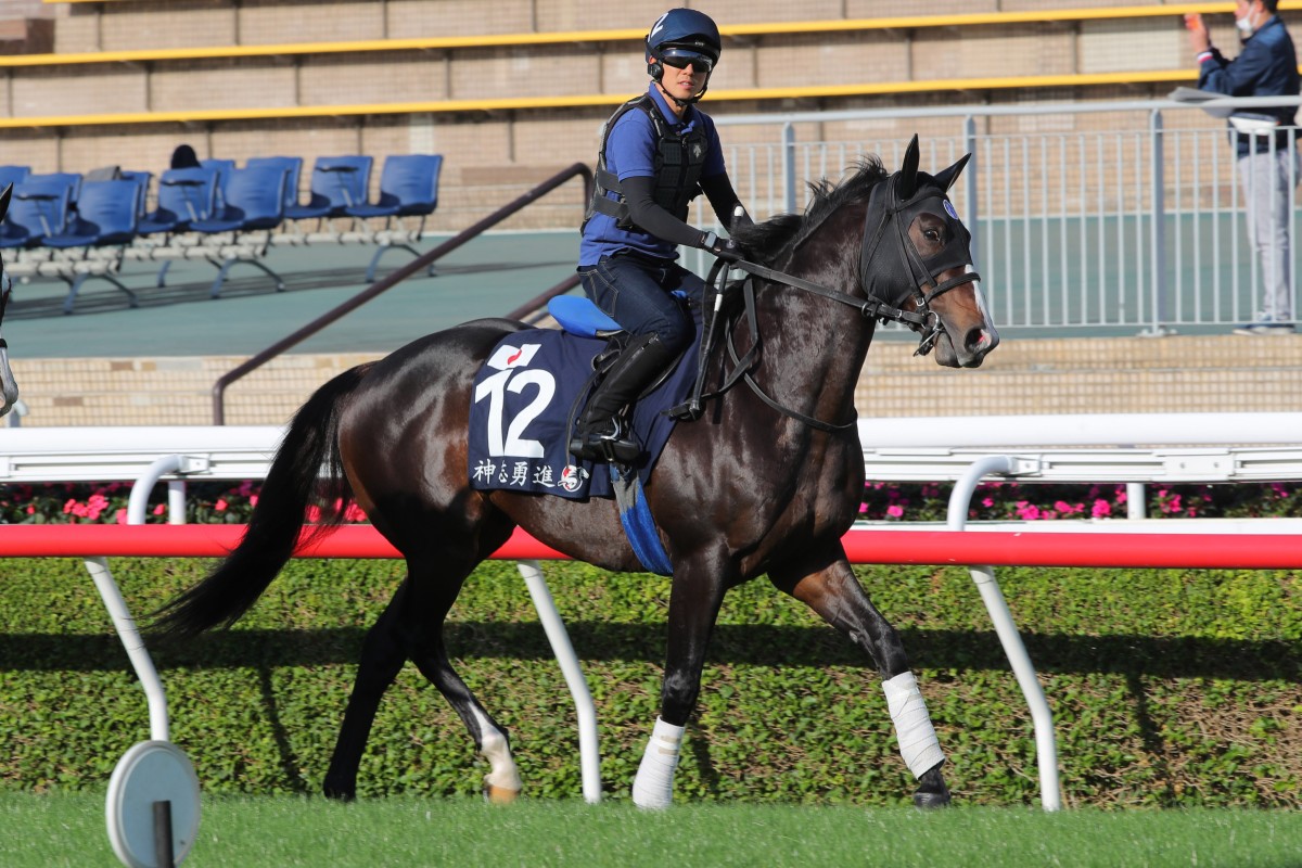 Soul Rush, pictured at Sha Tin trackwork last year, returns for a second tilt at the Hong Kong Mile. Photos: Kenneth Chan
