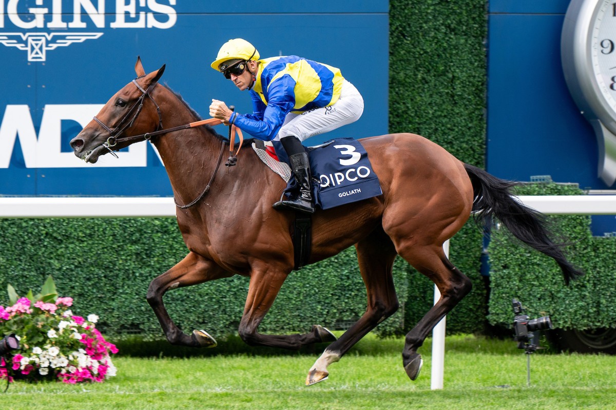 Goliath salutes at Ascot in July. Photo: HKJC