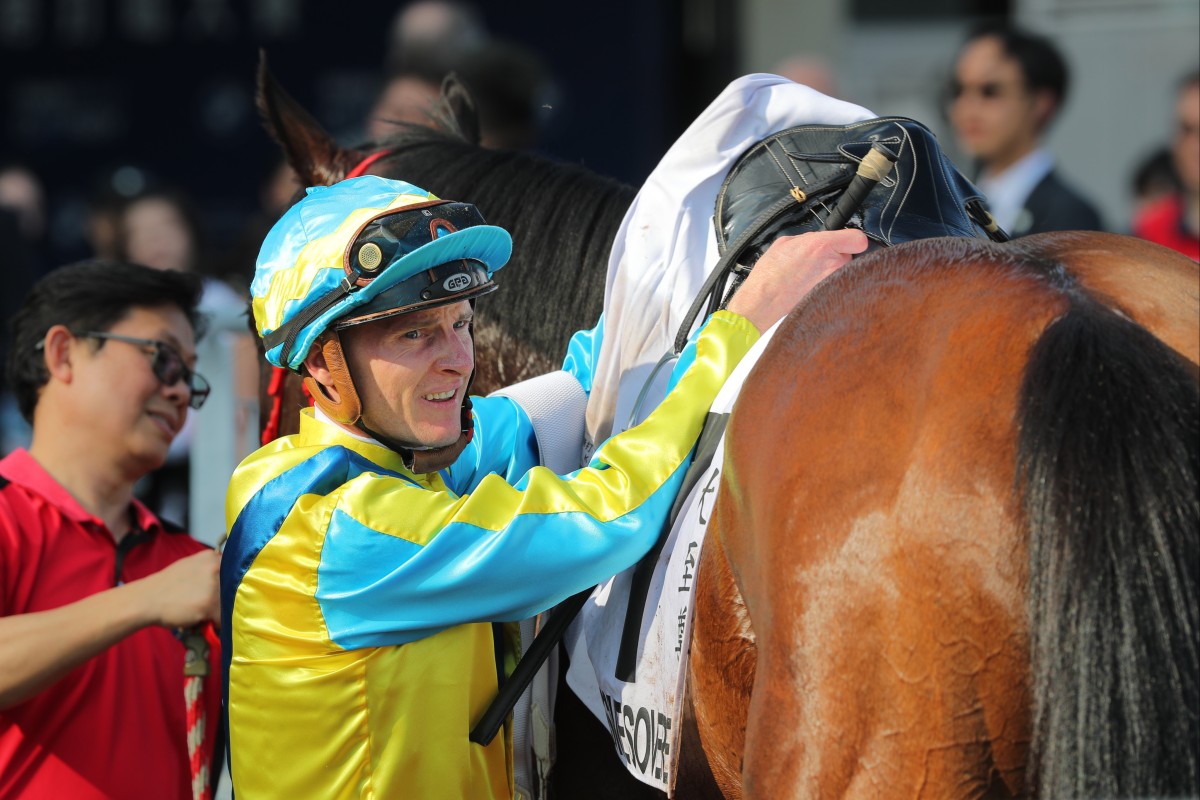 Massive Sovereign will compete for the Group One Hong Kong Cup (2,000m) at Sha Tin on December 8. Photos: Kenneth Chan