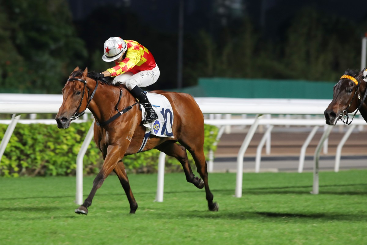 Steps Ahead chases a third straight win at Sha Tin on Sunday. Photos: Kenneth Chan