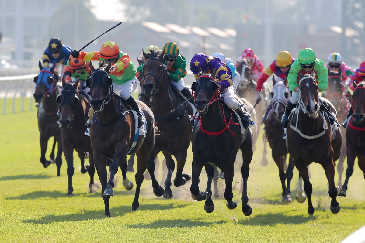 Healthy Healthy (left) prevails in a tight tussle with Stellar Express (centre) down the Sha Tin straight on Sunday. Photos: Kenneth Chan