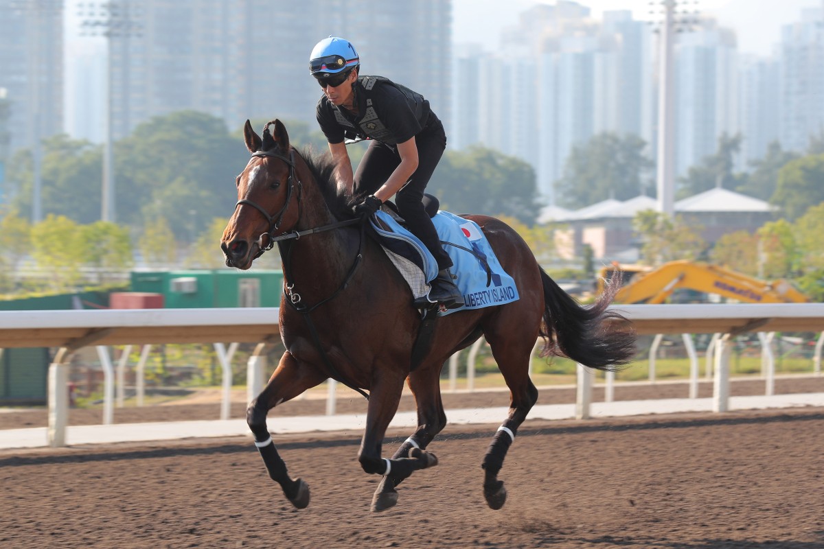 Liberty Island gallops at Sha Tin on Tuesday morning ahead of the Group One Hong Kong Cup. Photo: Kenneth Chan