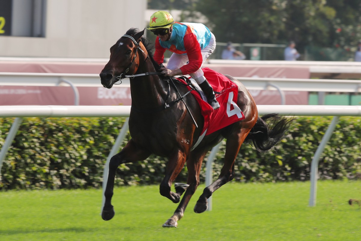 Ka Ying Rising wins last month’s Group Two Jockey Club Sprint (1,200m). Photos: Kenneth Chan