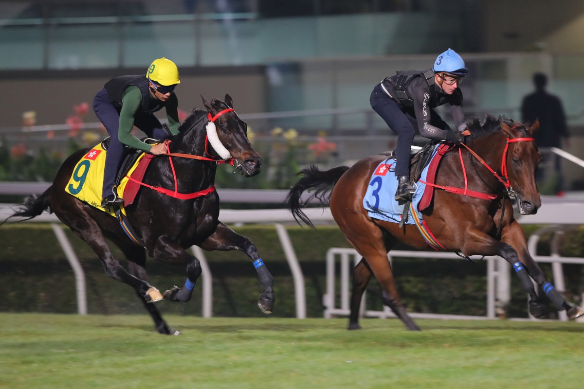 Romantic Warrior (right) gallops on the Sha Tin turf under James McDonald. Photo: Kenneth Chan