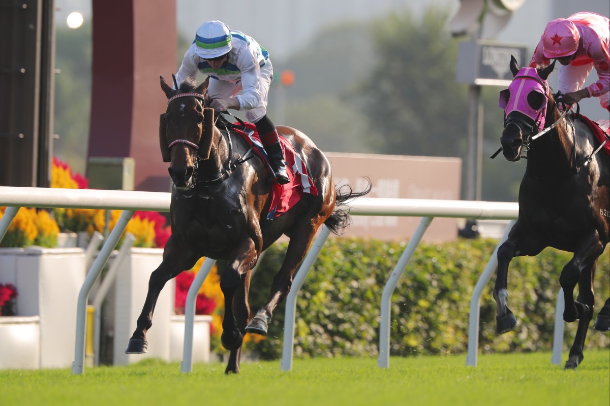 Voyage Bubble has strong claims in Sunday’s Hong Kong Mile. Photo: Kenneth Chan
