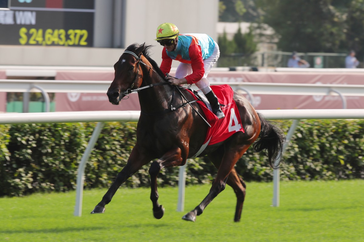 Ka Ying Rising looks hard to beat in the Hong Kong Sprint. Photo: Kenneth Chan
