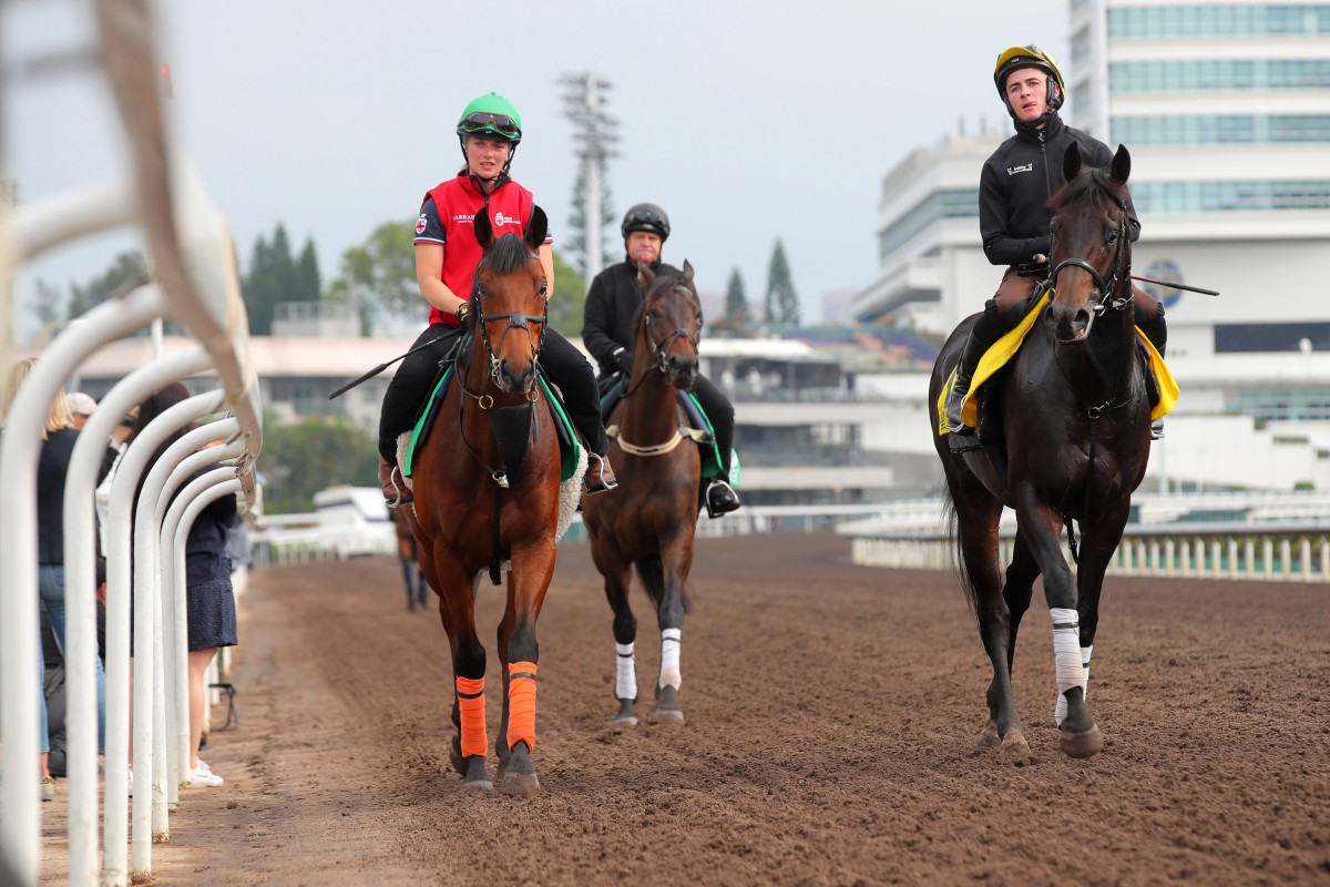 Starlust (right) and Dubai Honour (left) lead the British charge on Sunday. Photos: Kenneth Chan