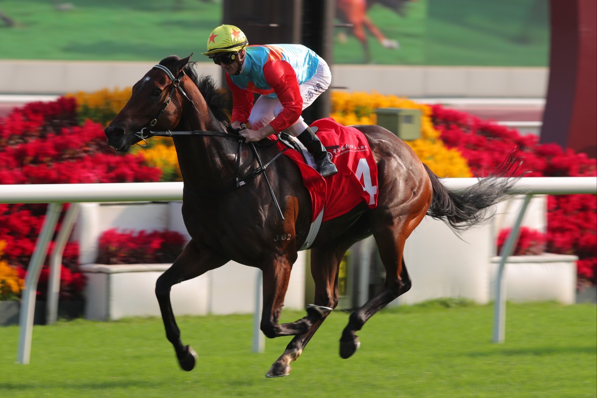 Kayex Racing Emerging Ka Ying Rising overshadows champion Romantic Warrior in build ...