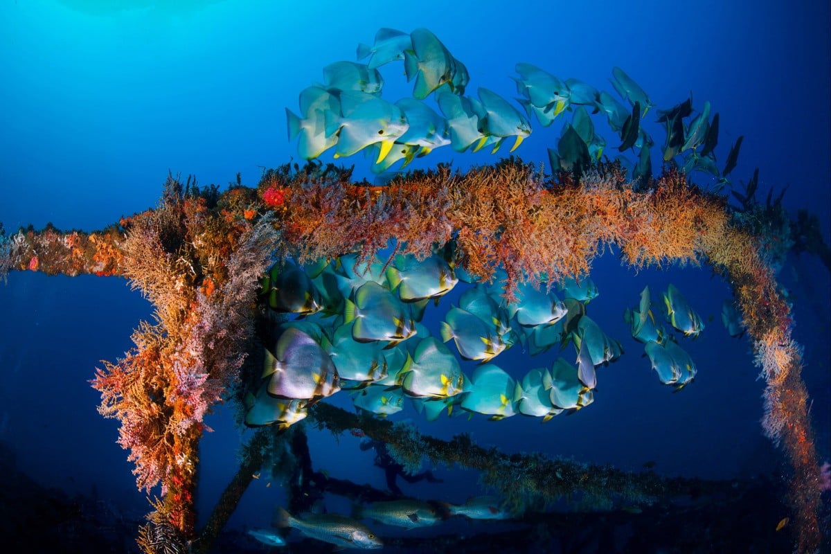 A landmark UN report warned that unsustainable farming and overconsumption are driving a double crisis in nature and the climate. Photo: Beth Watson