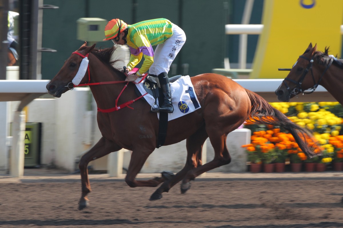 Derek Leung steers Sword Point to success at Sha Tin on Sunday. Photos: Kenneth Chan