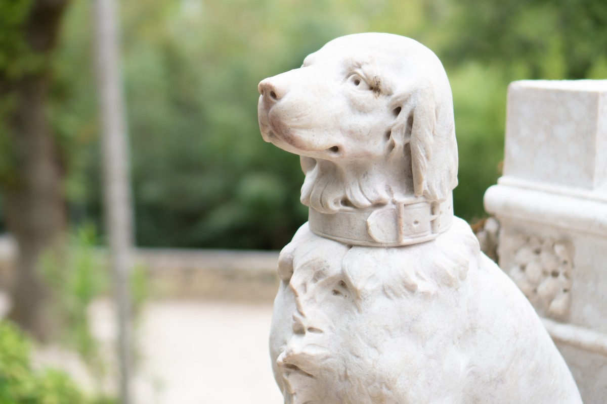 More Hongkongers are holding memorial services to honour their deceased pets. Photo: Shutterstock