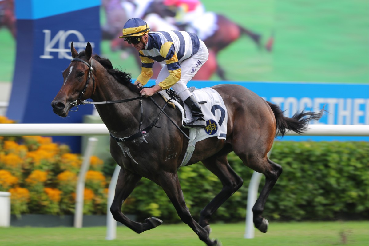Packing Hermod chases a fifth career win at Sha Tin on Sunday. Photos: Kenneth Chan