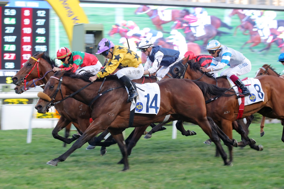 Dragon Joy (outside) nails Markwin (green and red colours) late to win at Sha Tin on Sunday. Photos: Kenneth Chan