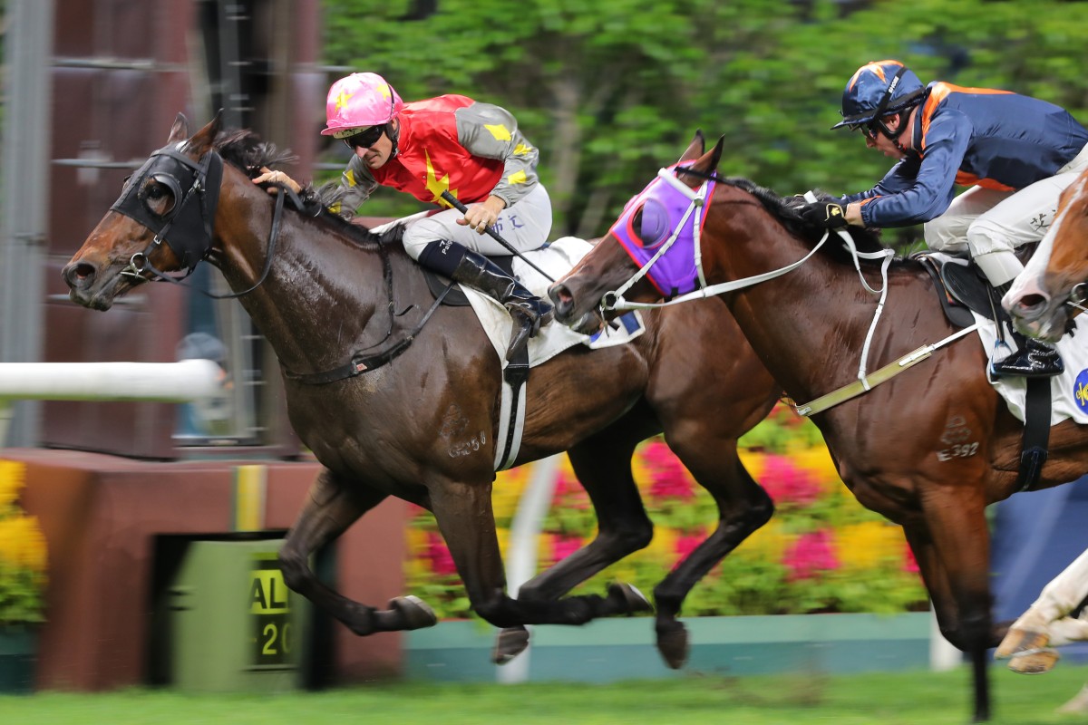 Hugh Bowman and Majestic Knight claim victory at Happy Valley in July. Photo: Kenneth Chan