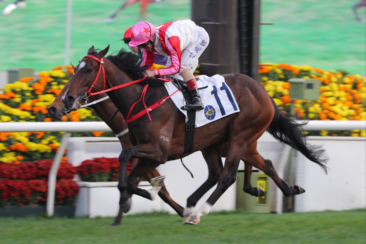 Andrea Atzeni guides Noisy Boy to victory at Sha Tin. Photos: Kenneth Chan