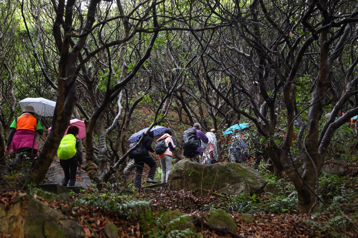The number of tourists asking for police help in Hong Kong’s rural areas nearly doubled last year, sparking calls for more hiking safety awareness. Photo: Edmond So