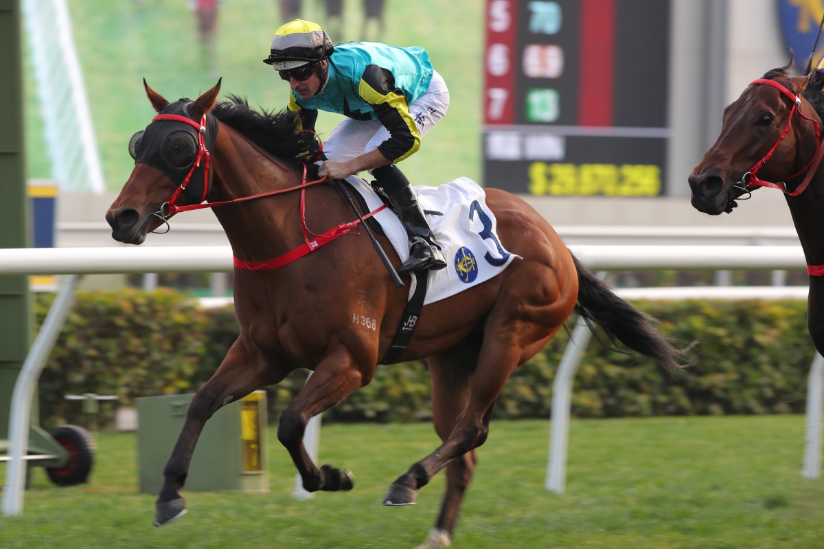 Raging Blizzard delivers under Hugh Bowman at Sha Tin last month. Photo: Kenneth Chan