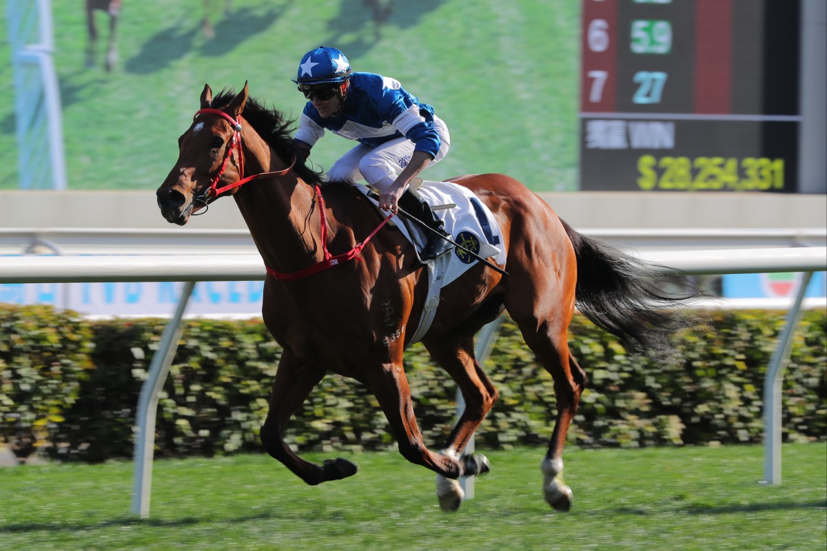 Lucky With You soars home to win the TVB Cup under Luke Ferraris. Photos: Kenneth Chan