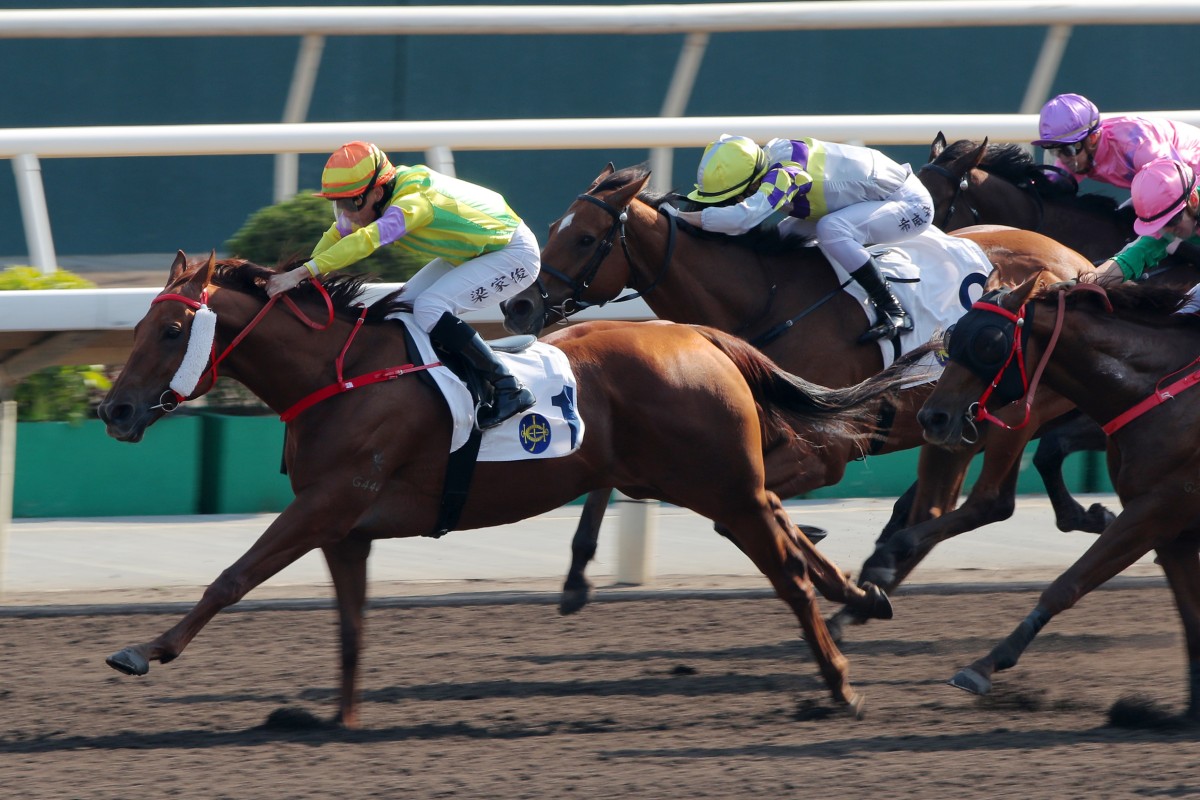 Sword Point scores on the dirt on January 5. Photos: Kenneth Chan