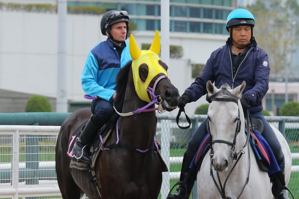 Ryan Moore heads out to trial Sunny Da Best at Sha Tin last week. Photos: Kenneth Chan