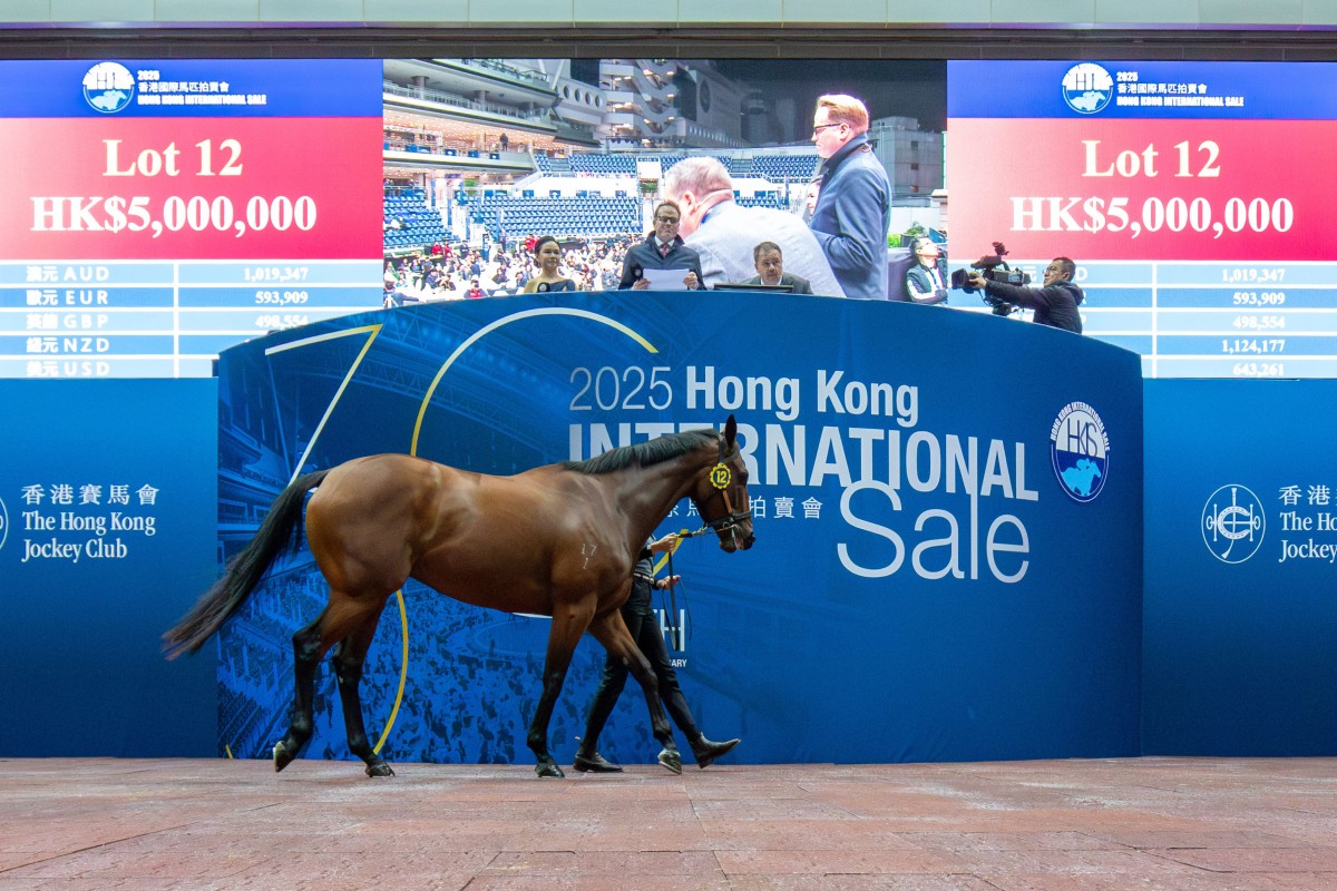 Lot 12 sold for HK$5 million at 2025 Hong Kong International Sale. Photos: HKJC