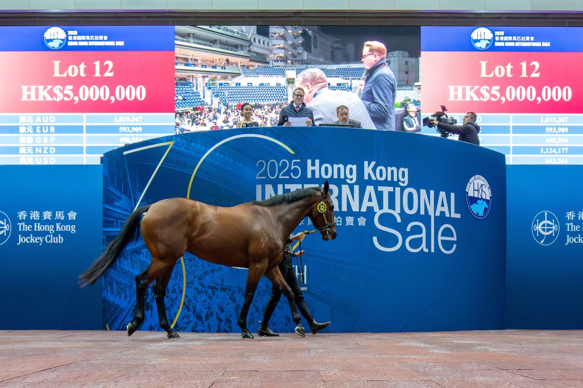 Lot 12 tops Friday night’s Hong Kong International Sale. Photo: HKJC