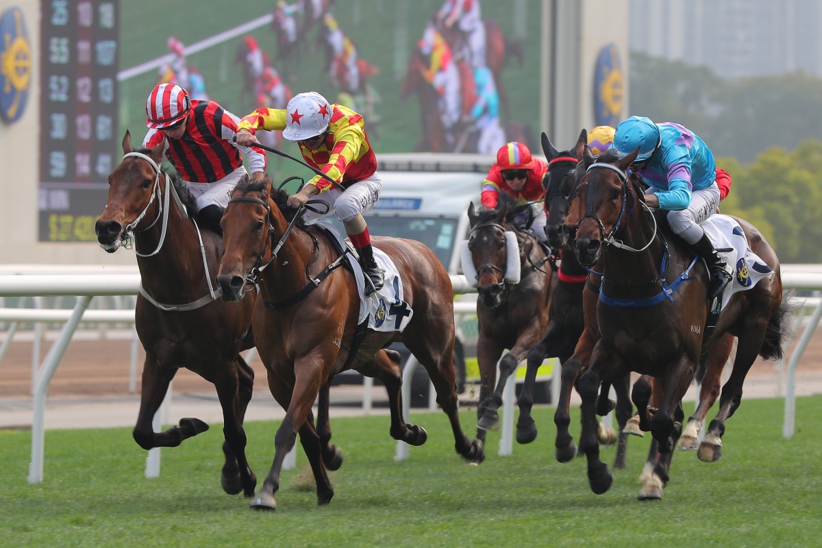 Lo Rider (right) runs second at Sha Tin last month. Photos: Kenneth Chan